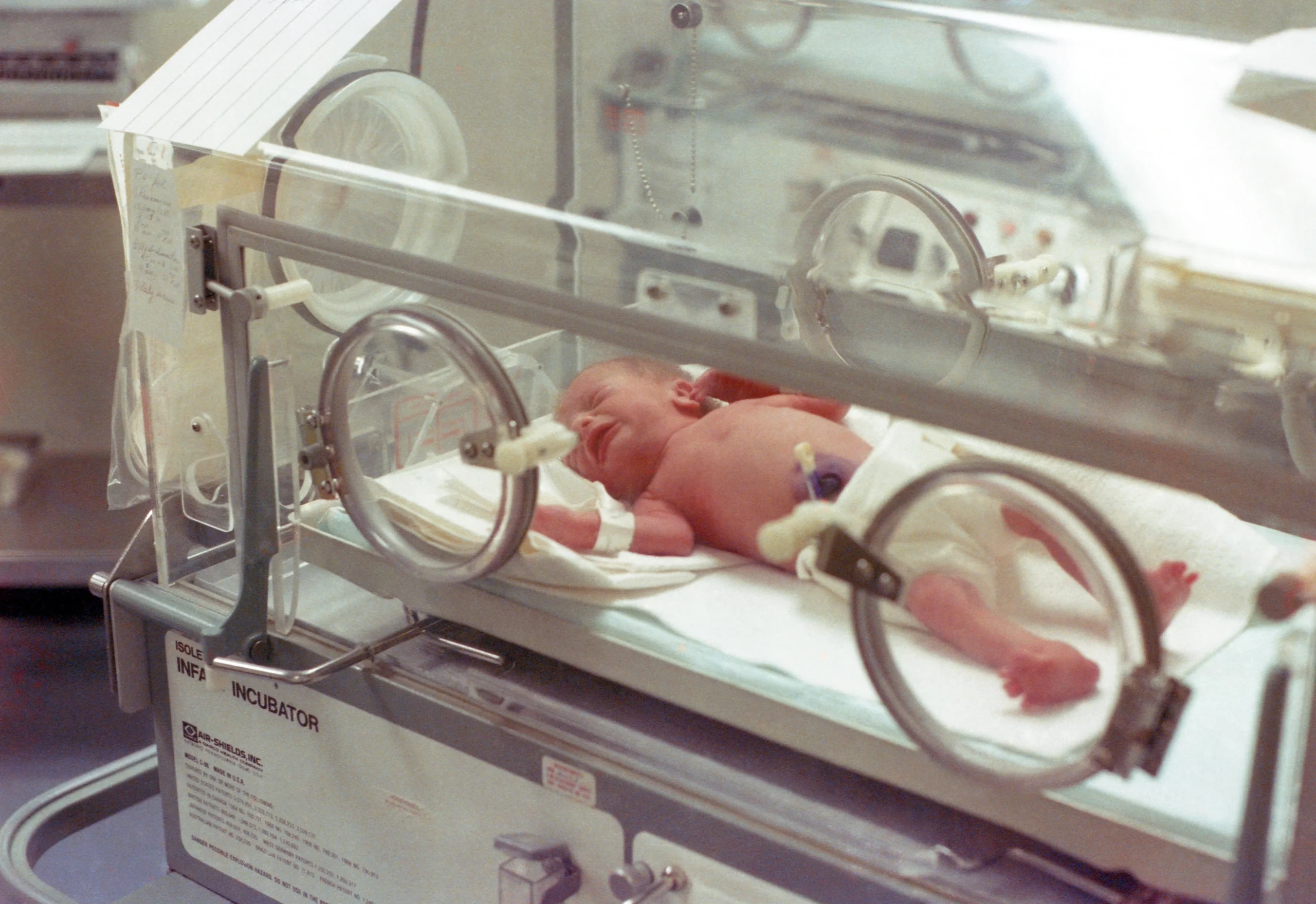 Newborns
