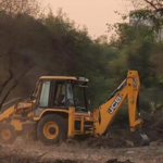 Flamingo Habitat | The Times of Mumbai