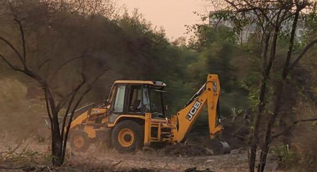 Flamingo Habitat | The Times of Mumbai
