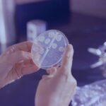 TB Patients