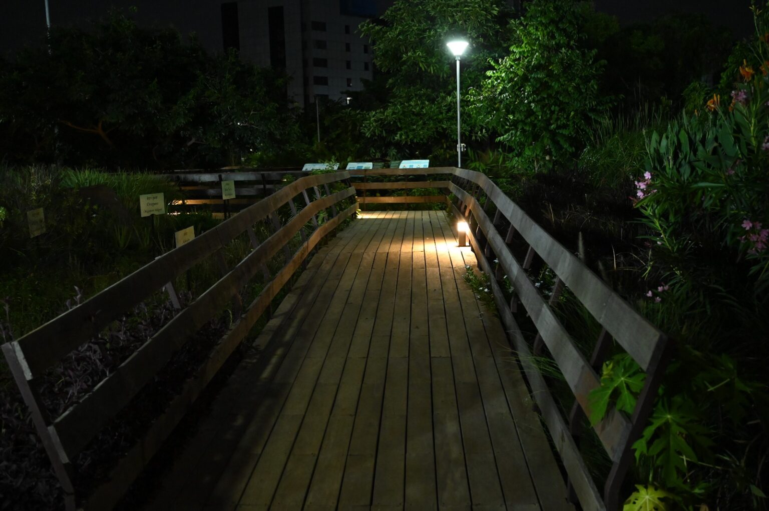Mumbai Gets Its First Eco-Friendly Urban Forest at Marol, How Does it Reduce City Heat by 4°C