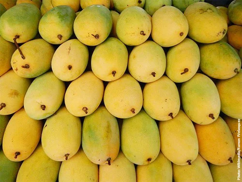 Kesar
