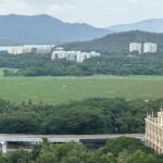 Water Hyacinth in Powai Lake