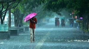 IMD Issues Rain and Thunderstorm Warning