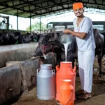 Maharashtra