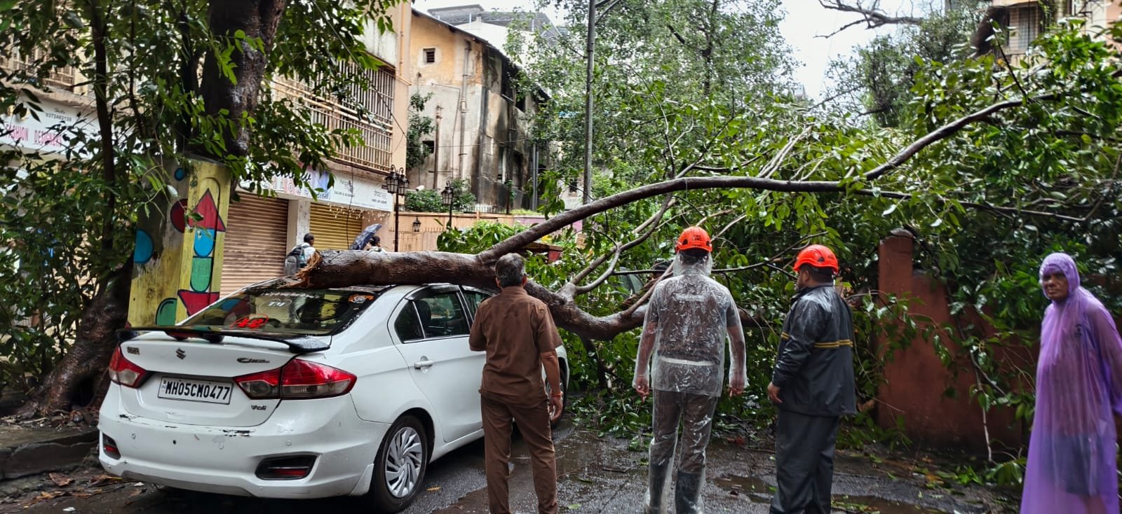 Tree Branch Falls on Parked Car in Naupada, Thane