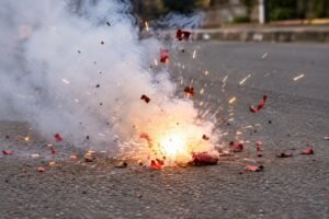 Ban Firecracker Stalls Along Thane Roads, Shiv Sena Corporator Parisha Sarnaik Urges TMC Chief